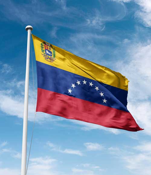 Cover image for Capturing Venezuelan Assets